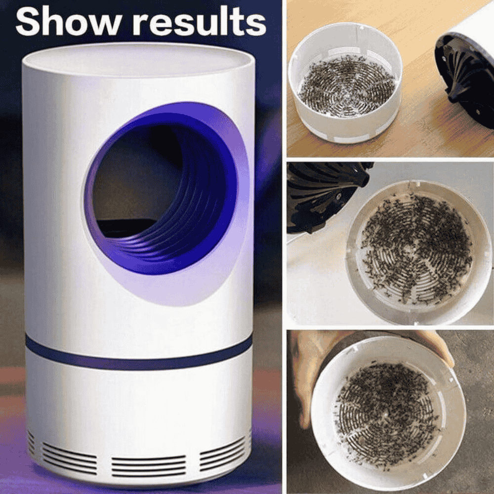 Mosquito killer lamp displaying trapped insects inside