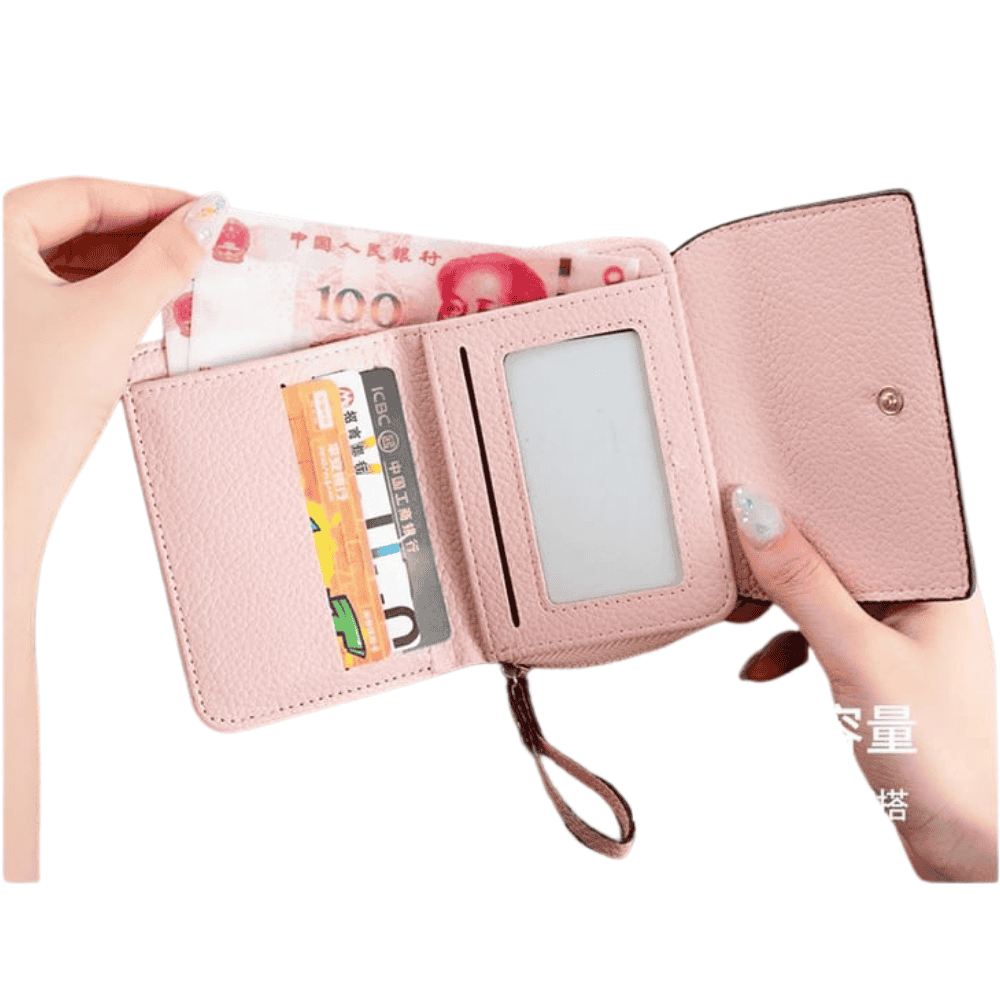 complete-view displaying all compartments and accessories laid out
