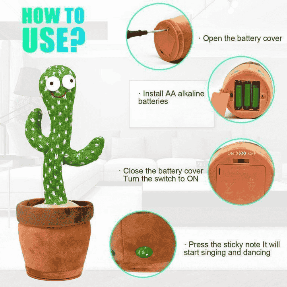How to use the dancing cactus toy